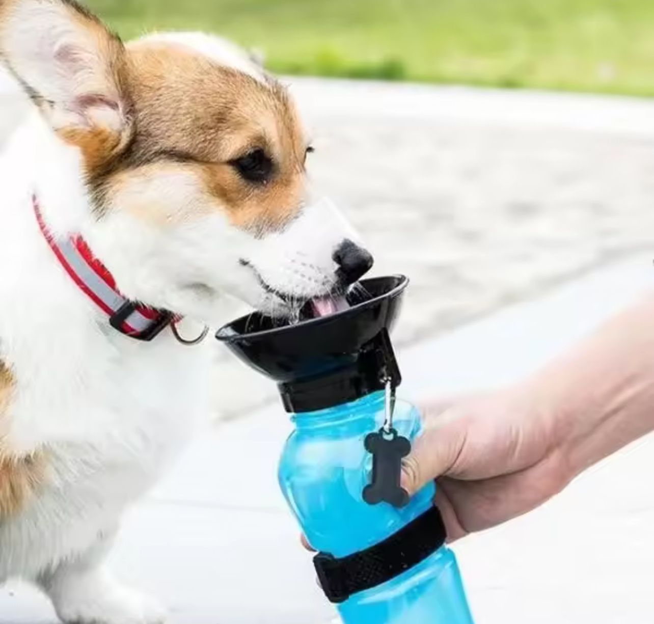 BOTELLA PORTÁTIL PARA MASCOTAS