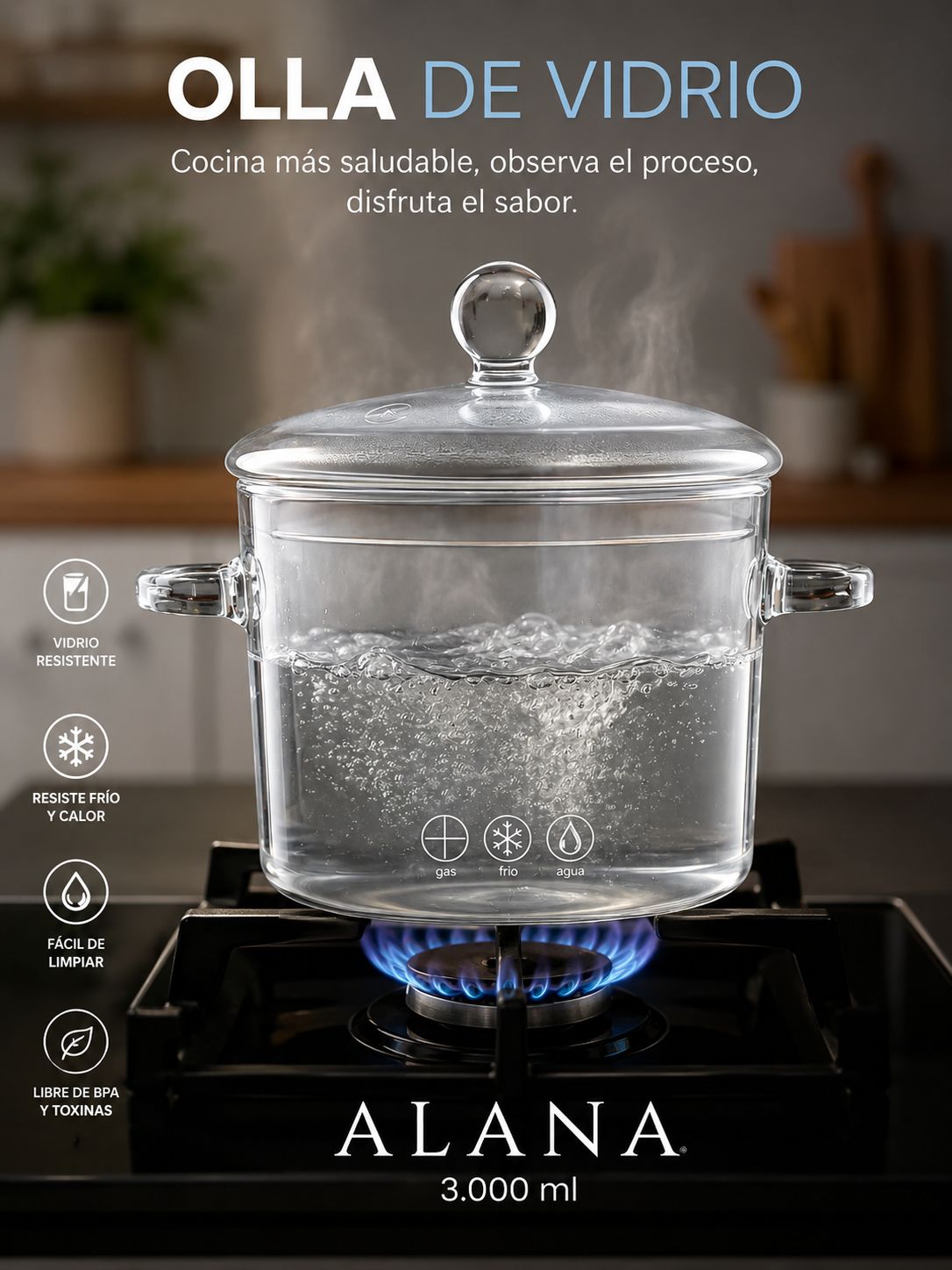OLLA DE VIDRIO ALANA 3.000 ML