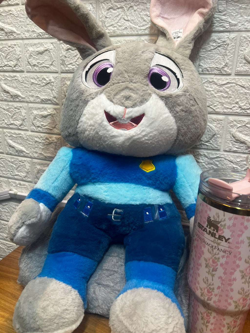 PELUCHES CON COBIJA.