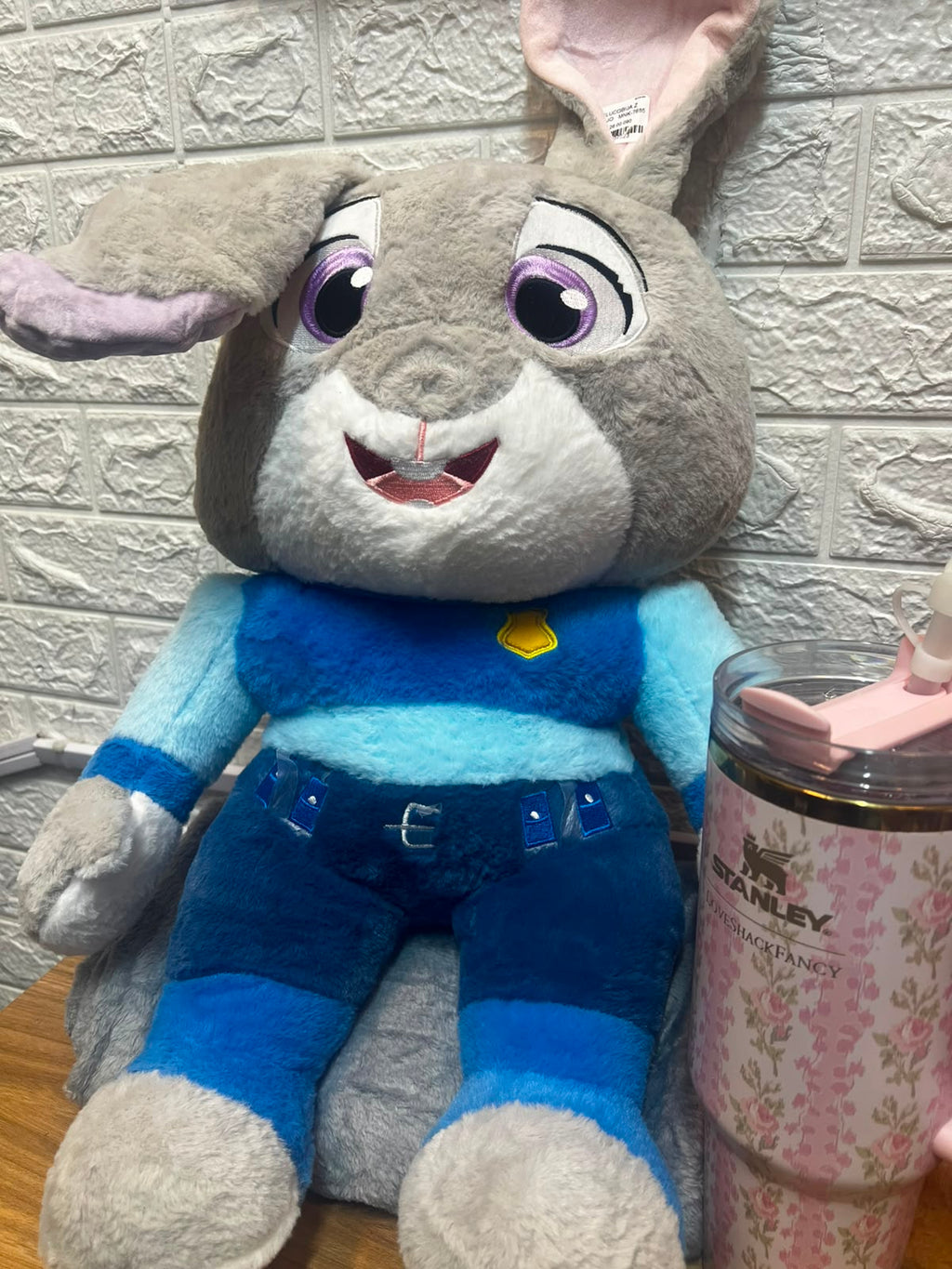 PELUCHES CON COBIJA.