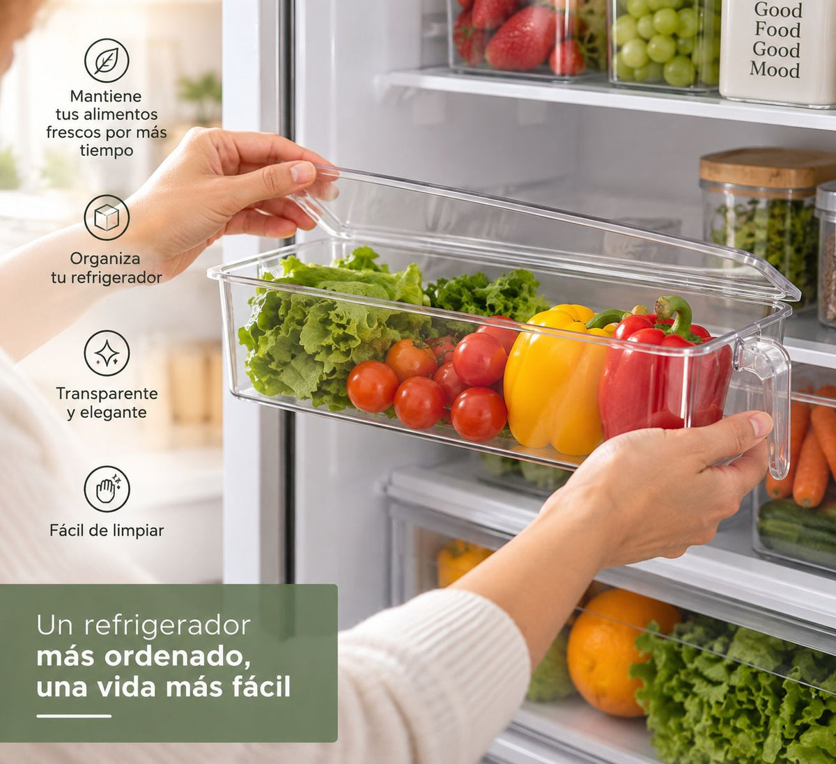 ORGANIZADOR DE NEVERA 🍇🌽🥬🍅E5N2